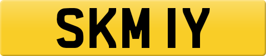 SKM1Y