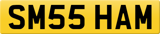 SM55HAM