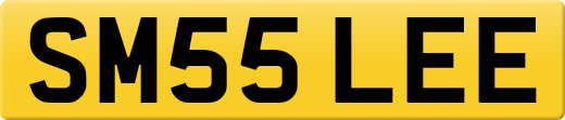 SM55LEE