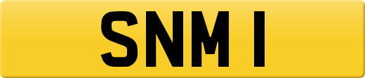 SNM1