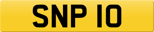 SNP10