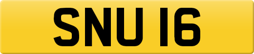 SNU16