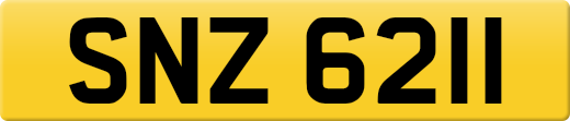 SNZ6211