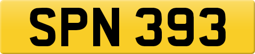 SPN393