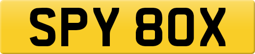 SPY80X