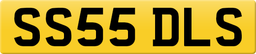 SS55DLS
