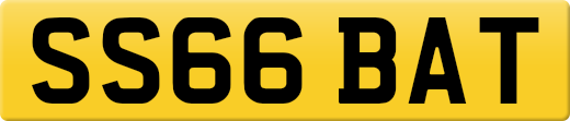 SS66BAT