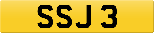 SSJ3