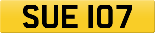 SUE107