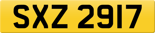 SXZ2917