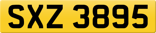 SXZ3895