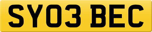 SY03BEC