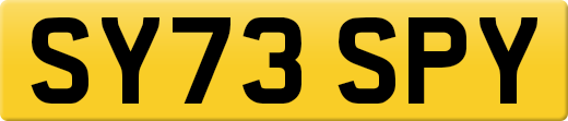 SY73SPY