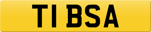 T1BSA