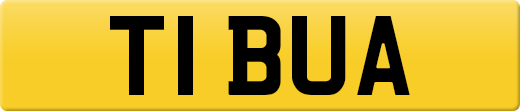 T1BUA