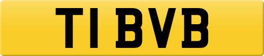 T1BVB