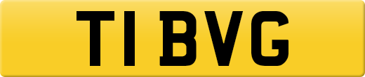 T1BVG