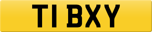 T1BXY