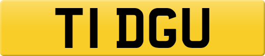 T1DGU