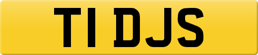 T1DJS