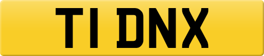 T1DNX