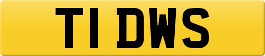 T1DWS
