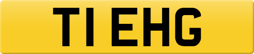 T1EHG