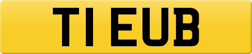 T1EUB