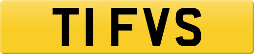T1FVS