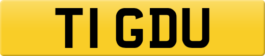T1GDU