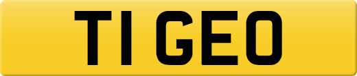 T1GEO