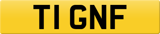 T1GNF