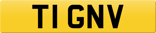 T1GNV