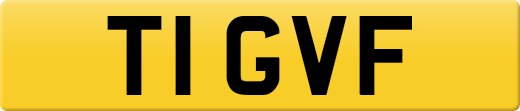 T1GVF