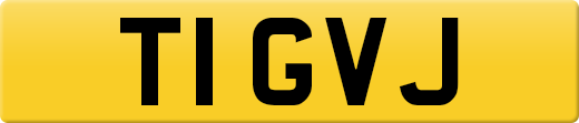 T1GVJ