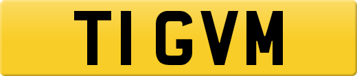 T1GVM