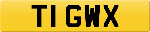 T1GWX