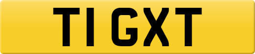 T1GXT
