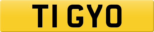 T1GYO