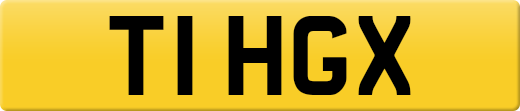 T1HGX