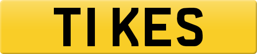 T1KES