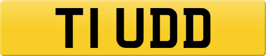 T1UDD