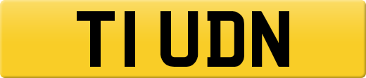 T1UDN