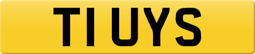 T1UYS