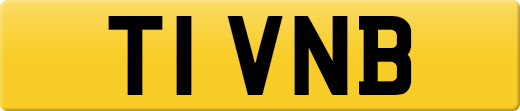 T1VNB