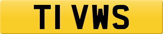 T1VWS