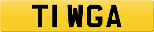 T1WGA