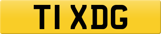 T1XDG