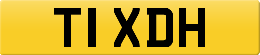 T1XDH
