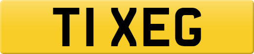 T1XEG